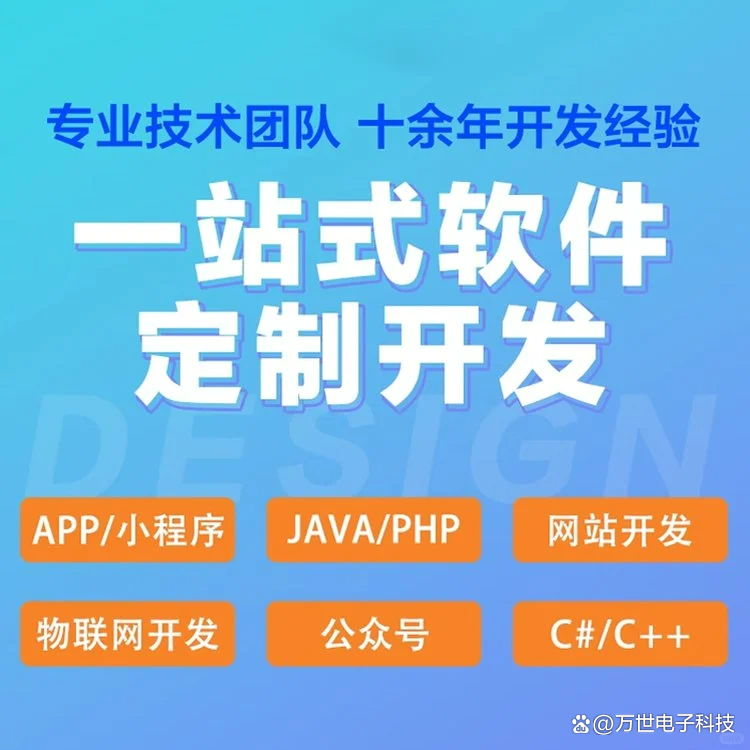 软件开发